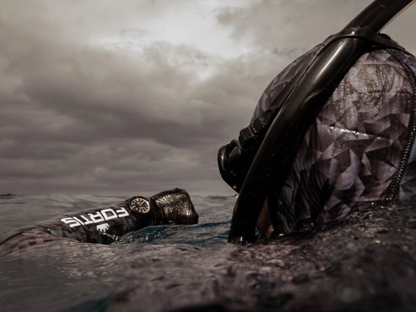 Chapter 1 | Gulf Stream: A Living Current