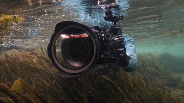 Where the Story Was Made: Behind the Scenes of Miami Dive